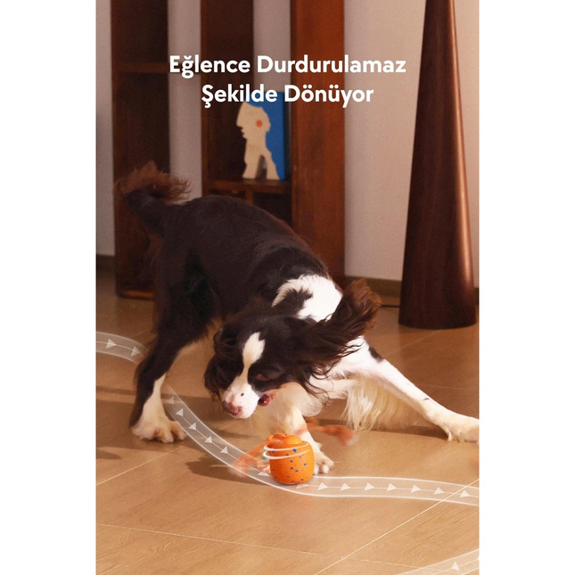 Cheerble Wicked Ball Rolly Şarjlı İnteraktif Köpek Oyuncak Topu
