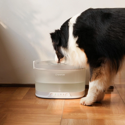 Cheerble Elfin D1 Pro Şarjlı Köpek Su Pınarı