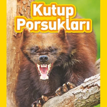 National Geographic Kids – Wolves