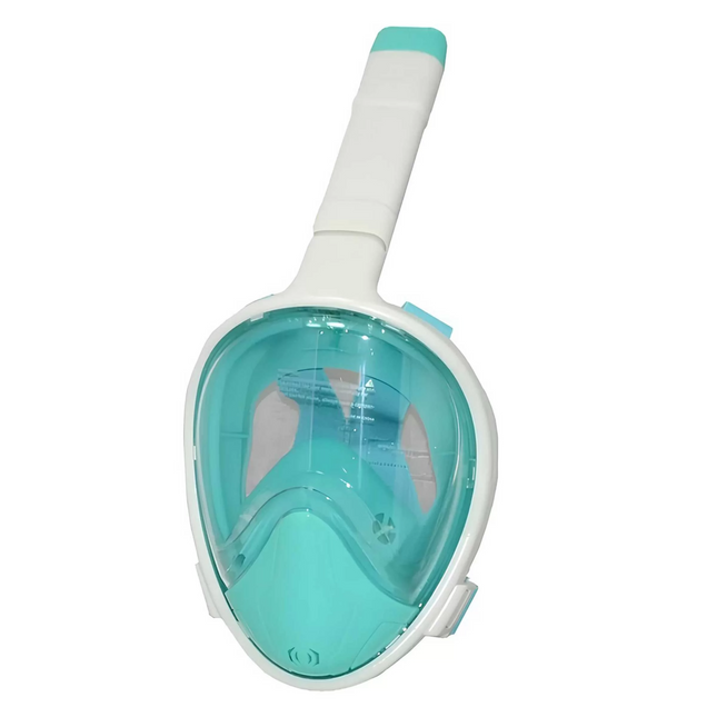 Bestway L/XL Full Face Bag 707919