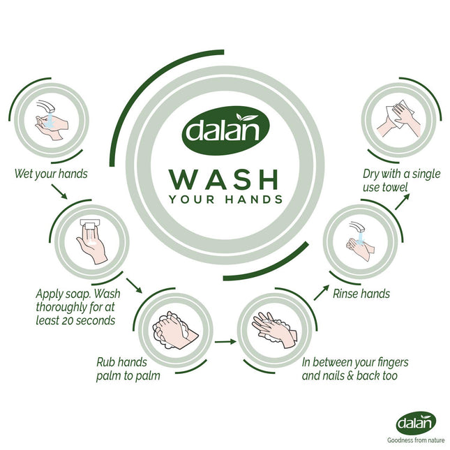 Dalan Therapy British Rose Ultra Moisturizing Liquid Hand Soap for Normal and Dry Hands Fresh Clean and Soft Feeling (13.5 Fl Oz / 400 mL (Pack of 1))