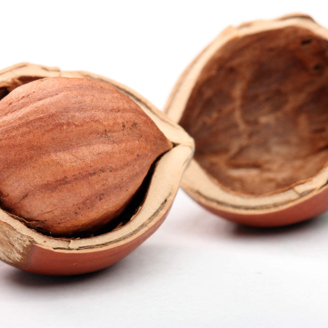 Cerez Pazari Turkish Raw Hazelnuts (Filberts), No Shell Natural Unsalted Hazelnuts, Healthy Keto Paleo Diet Snacks, Premium Quality, Gluten-Free, Vegan, Non-GMO, Resealable Bag, 2 lbs