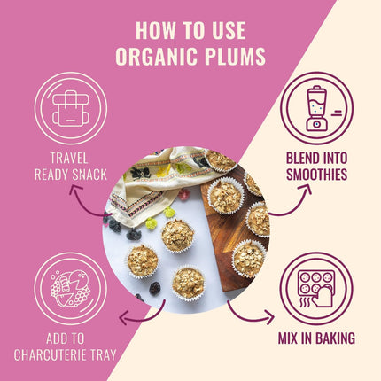 Sunny Fruit Organic Probiotic Prunes - 1 Bag (5 Individual Portion Packs) | Convenient Dried Plums Snack with Live Probiotics | ORGANIC, NON-GMO, KOSHER, HALAL, NO PRESERVATIVES, NO SUGAR ADDED