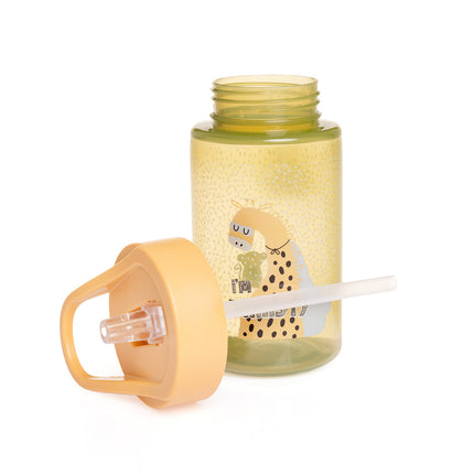 Dino Patterned Water Bottle with Straw PP 430 CC