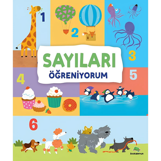 Learning Numbers