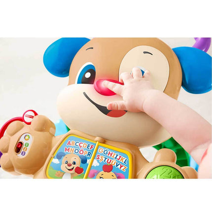 Fisher Price Educational Puppy Walker Turkish