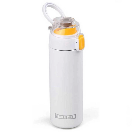 Transparent Lid Steel Water Bottle 450 ml 0033