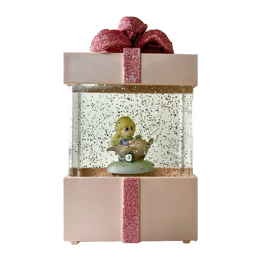 Snow Globe Gift Package LLM-HDY0362