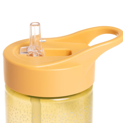 Dino Patterned Water Bottle with Straw PP 430 CC