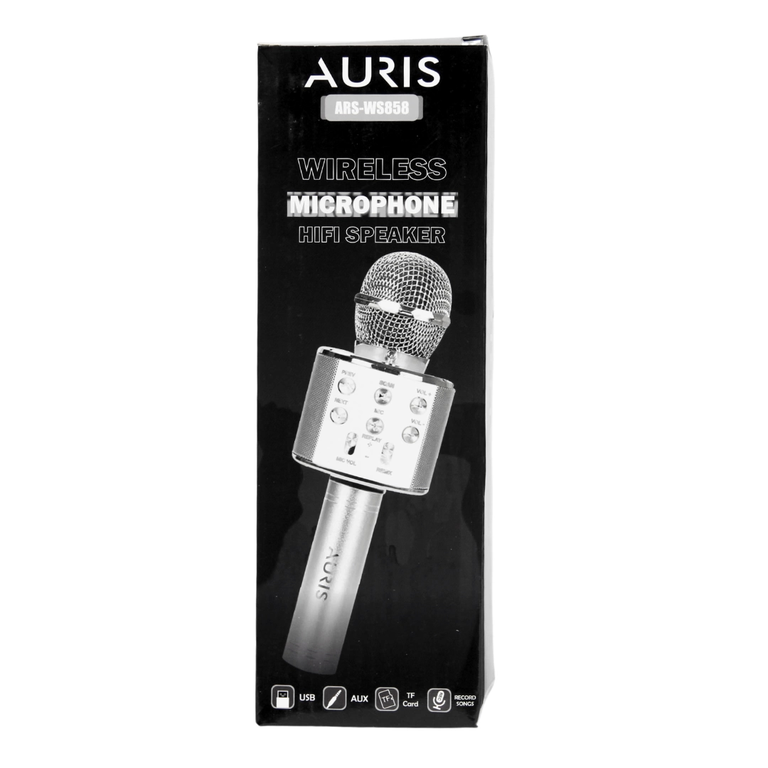 Karaoke Wireless Microphone