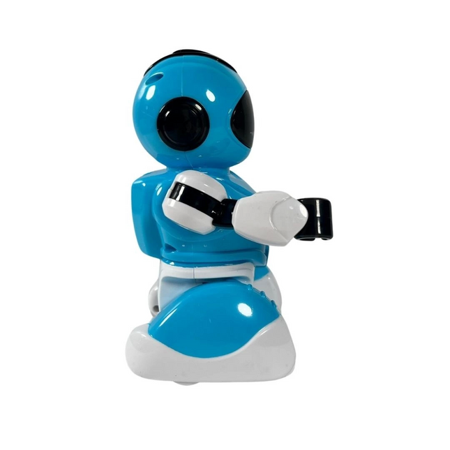 Remote Controlled Ball Playing Robot