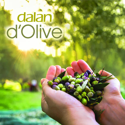 Hand and Body Cream, Pure Olive Oil, Dalan D'olive 250ml – 8.45floz