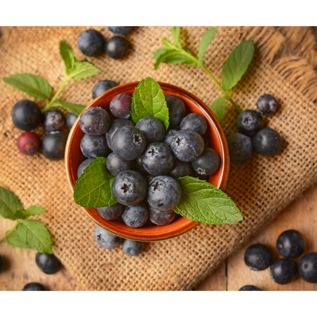 Ayennur Turkish Terracotta Pinch Charcuterie Ceramic Bowls Set of 8-3.15 Inch(8cm)-3.5 (oz),Dipping Sauce Dish Prep Condiments Small Tiny Bowls (Multi 6)