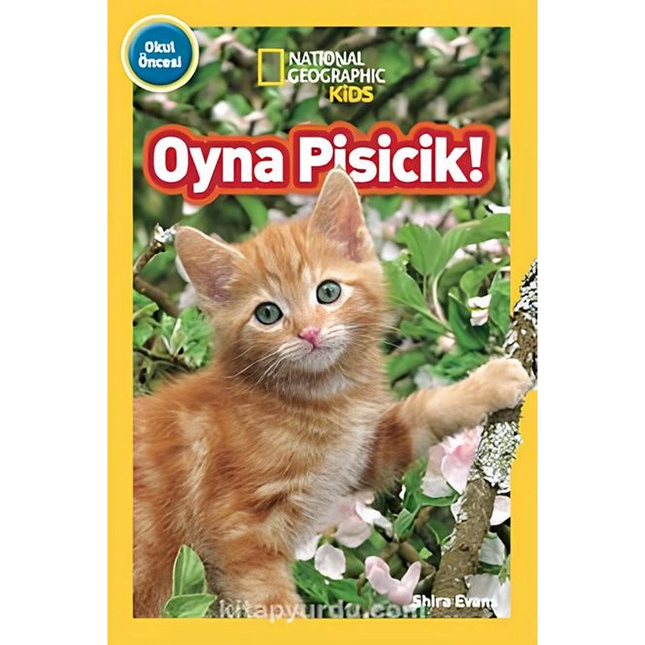 National Geographic Kids Play, Kitten!