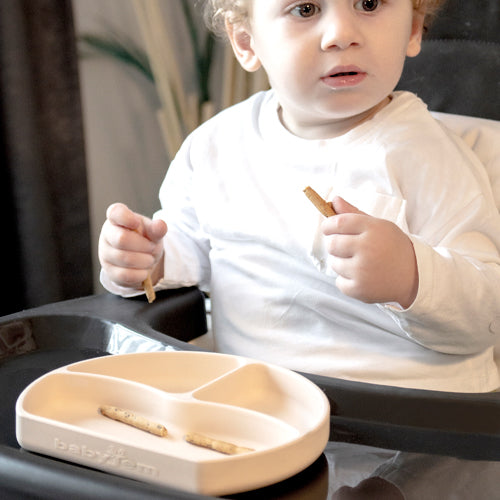 Babyjem silicone plate