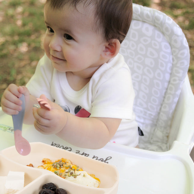 Babyjem silicone plate