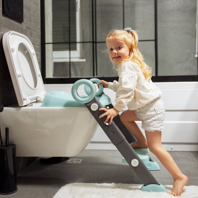 Babyjem step stool toi̇let trai̇ni̇ng