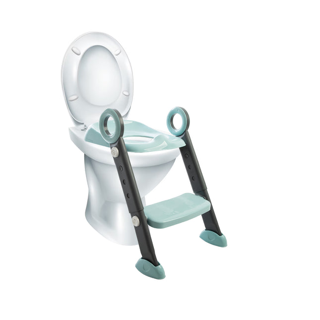 Babyjem step stool toilet training