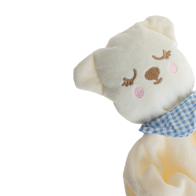 Babyjem sleeping friend with theeter