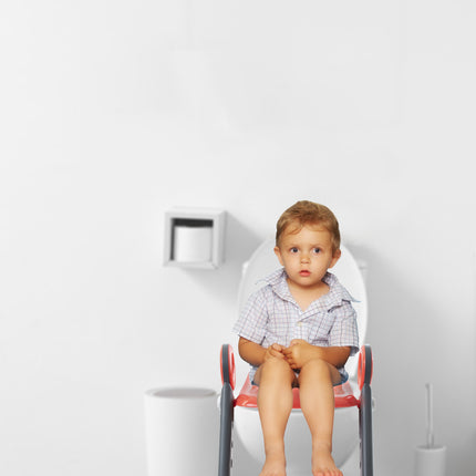 Babyjem step stool toi̇let trai̇ni̇ng