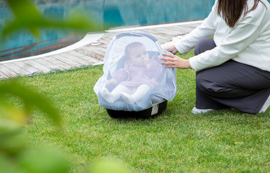 Babyjem insect net for carrier