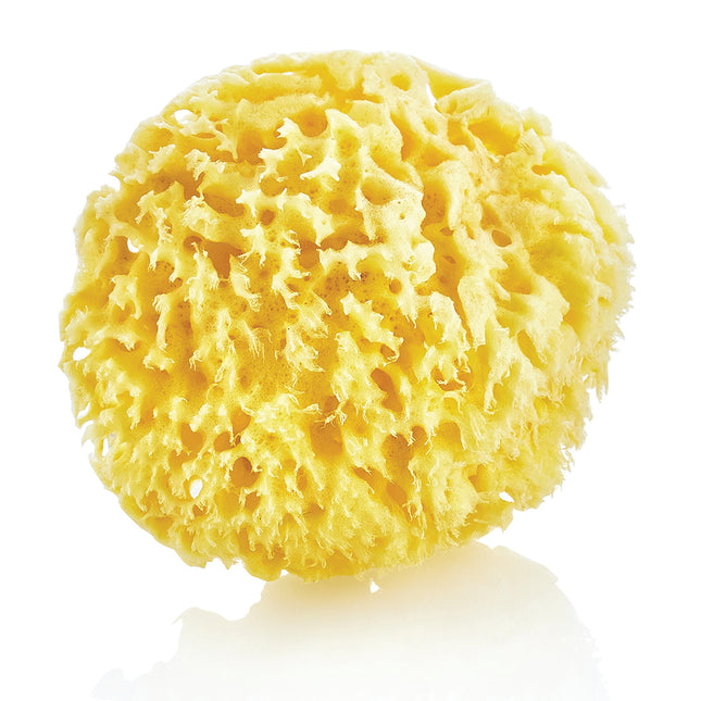 Babyjem natural sea sponge / natural