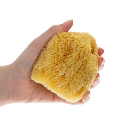 Babyjem natural sea sponge / natural
