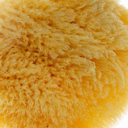 Babyjem natural sea sponge / natural