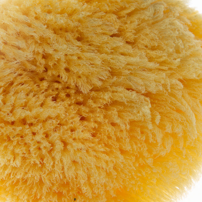 Babyjem natural sea sponge / natural