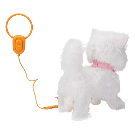 Cute Cat Sushi with Sound and Motion