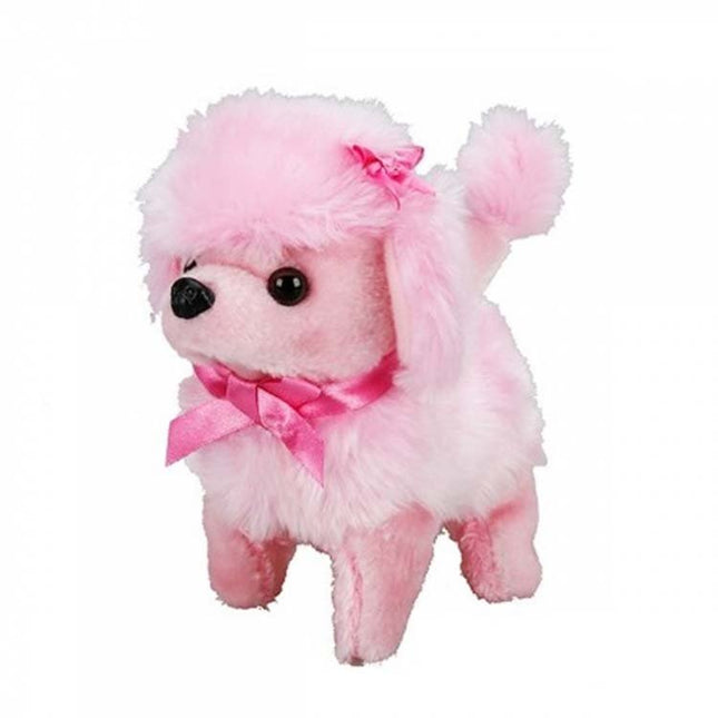 Sunman Cute Dog Poodle