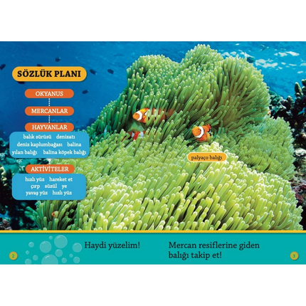 Colorful Fishes Reading Book