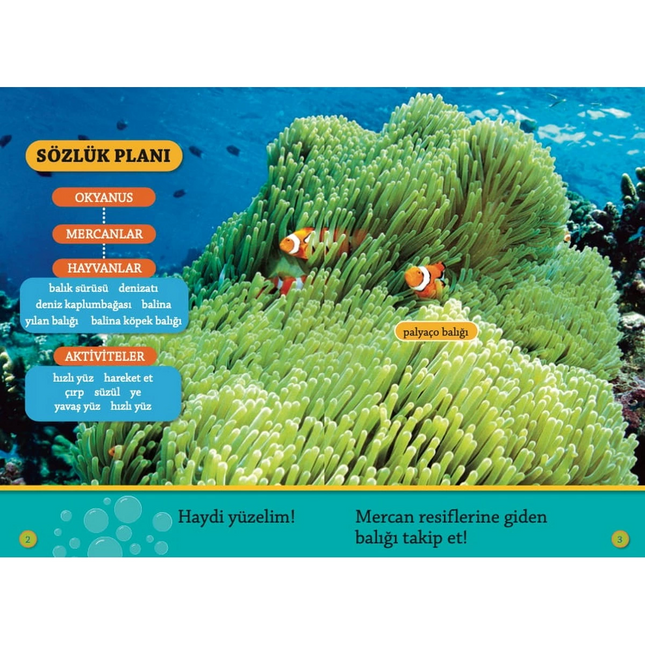 Colorful Fishes Reading Book