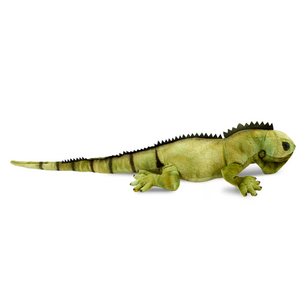 Iguana 66 cm