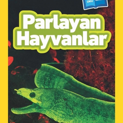 National Geographic Kids Glowing Animals