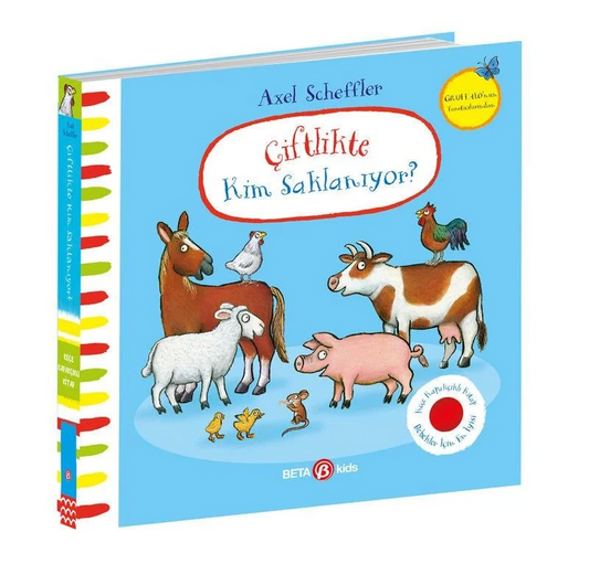 Who's Hiding on the Farm? (Felt Cover Book)