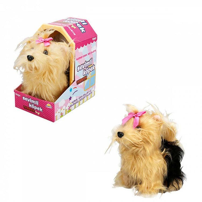 Sunman Cute Dog Terrier