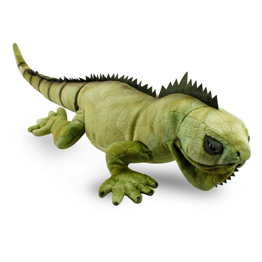 Iguana 66 cm