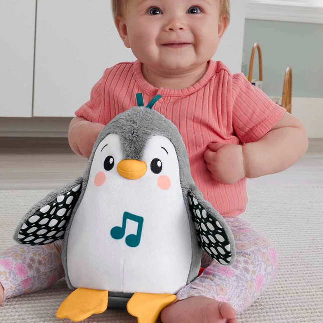 Fisher Price Flap and Wobble Penguin HNC10