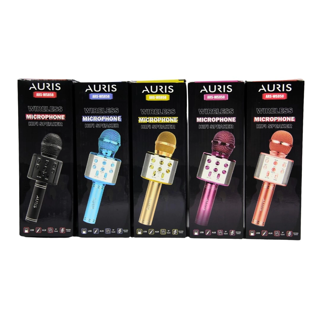 Karaoke Wireless Microphone