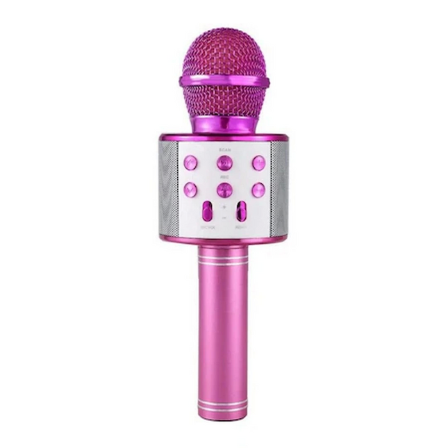 Karaoke Wireless Microphone