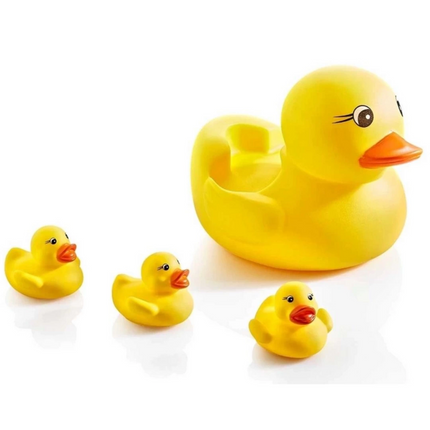 Cute Duck Family in a Net