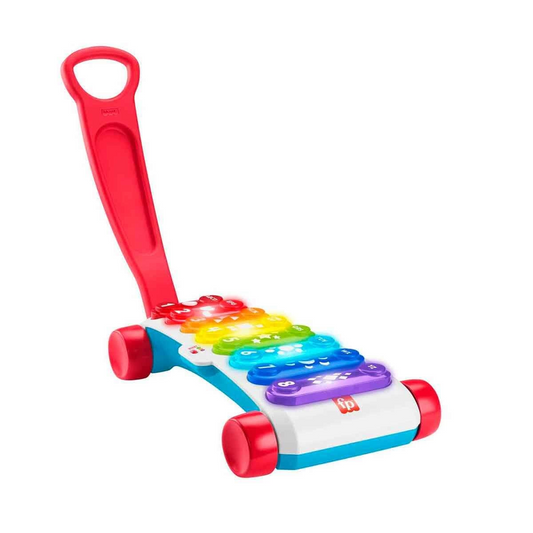 Fisher Price Giant Lighted Xylophone HJK36