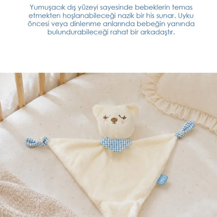Babyjem Diş Kaşıyıcılı Sevimli Uyku Arkadaşım Mavi