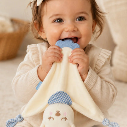 Babyjem Diş Kaşıyıcılı Sevimli Uyku Arkadaşım Mavi