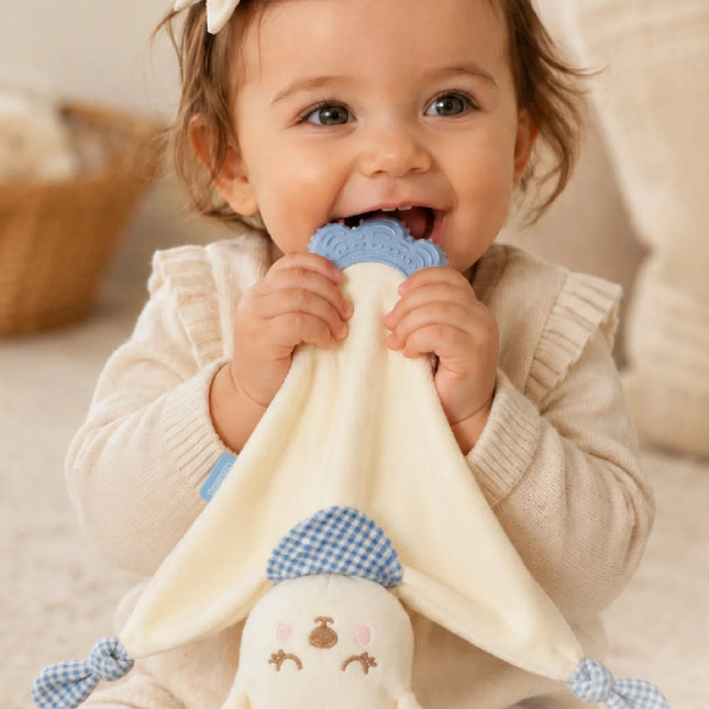 Babyjem Diş Kaşıyıcılı Sevimli Uyku Arkadaşım Mavi