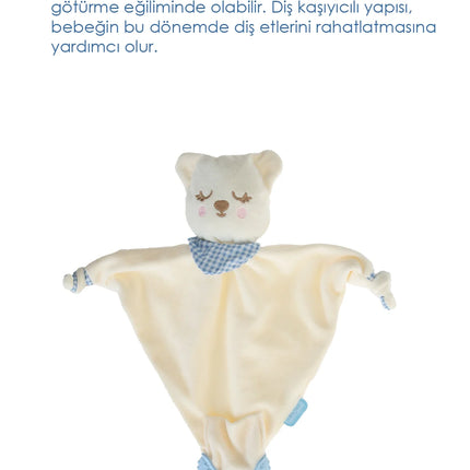 Babyjem Diş Kaşıyıcılı Sevimli Uyku Arkadaşım Mavi