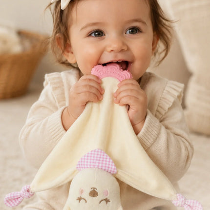 Babyjem Diş Kaşıyıcılı Sevimli Uyku Arkadaşım Pembe