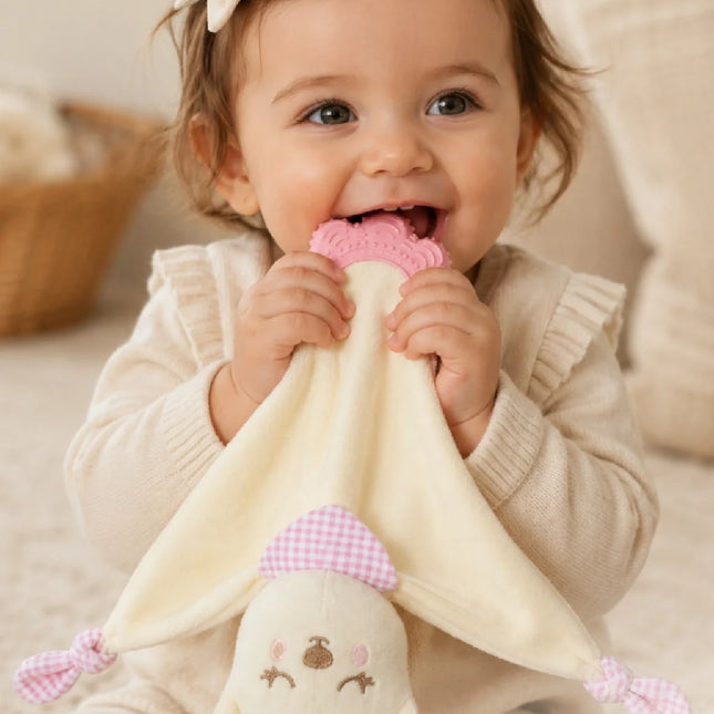 Babyjem Diş Kaşıyıcılı Sevimli Uyku Arkadaşım Pembe