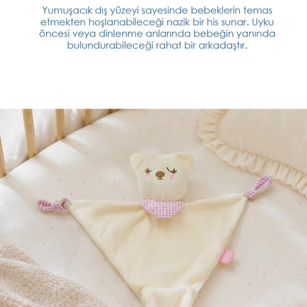 Babyjem Diş Kaşıyıcılı Sevimli Uyku Arkadaşım Pembe